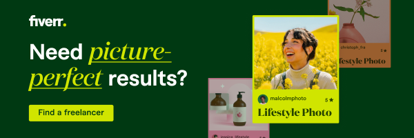 Fiverr Pro